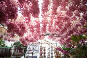 053013-hc-amsterdam-Bloemenmarkt-3639